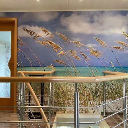 Ferienwohnung Ostseestrandlaeufer 2 Zingst Dış mekan fotoğraf